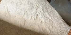 Workshop 2022 vedr. genanvendelsesprojektet