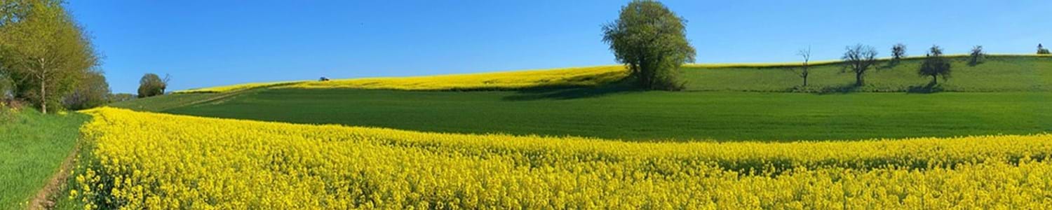 Undersøgelse af PFAS i restprodukter fra affaldsforbrændingsanlæg