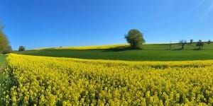 2024 Undersøgelse af PFAS i restprodukter fra affaldsforbrændingsanlæg